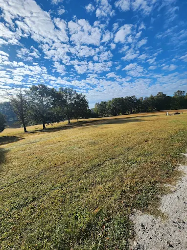 field sky view