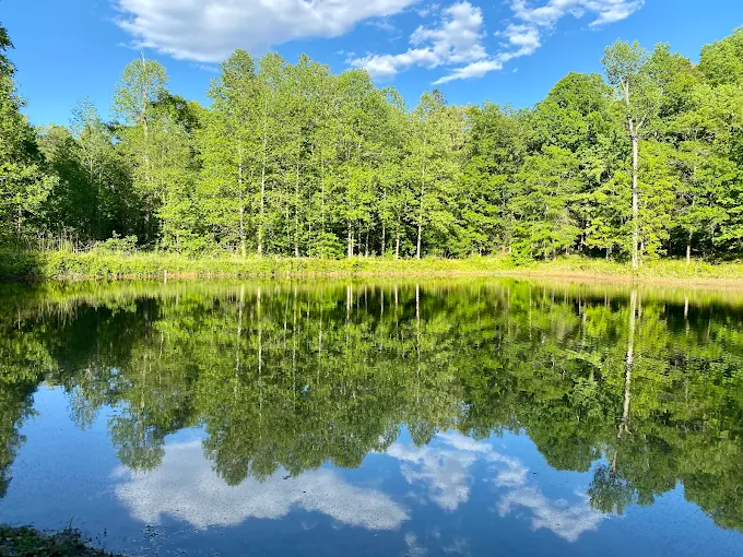 pond view